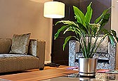 Elizabeth Bee Interior Design - Project 3, Crawley